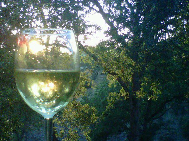 404447_2653483175449_1420857854_n