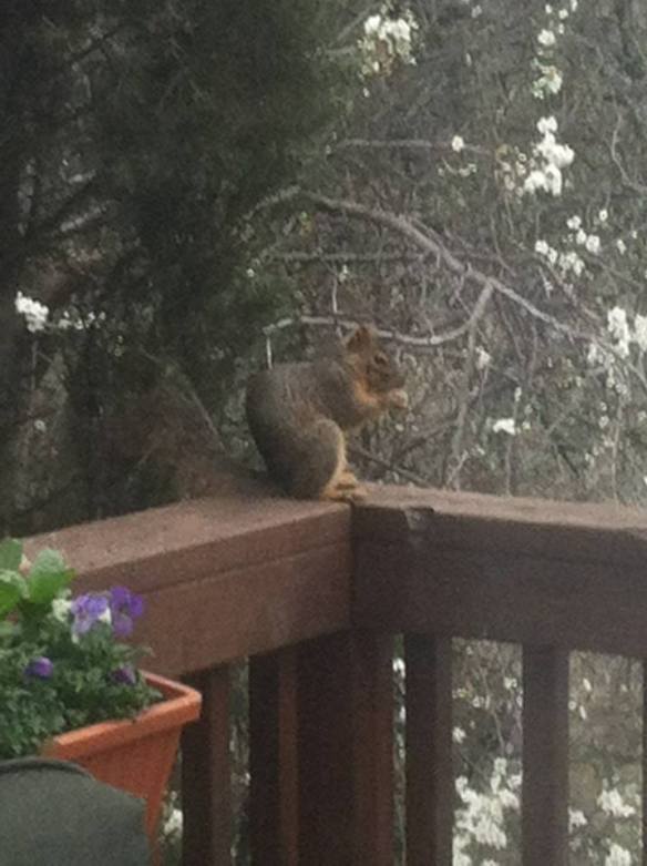 1897703_10202204801620618_376511219_n