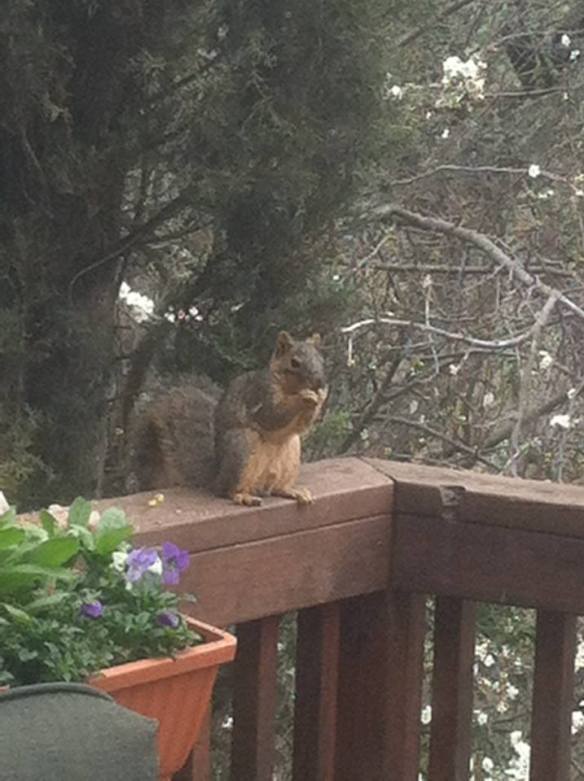 1959322_10202204797980527_1932315068_n