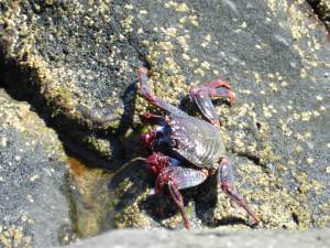 C'mon I can take the lot of you