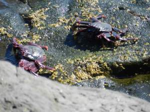 Sex rears it's ugly head