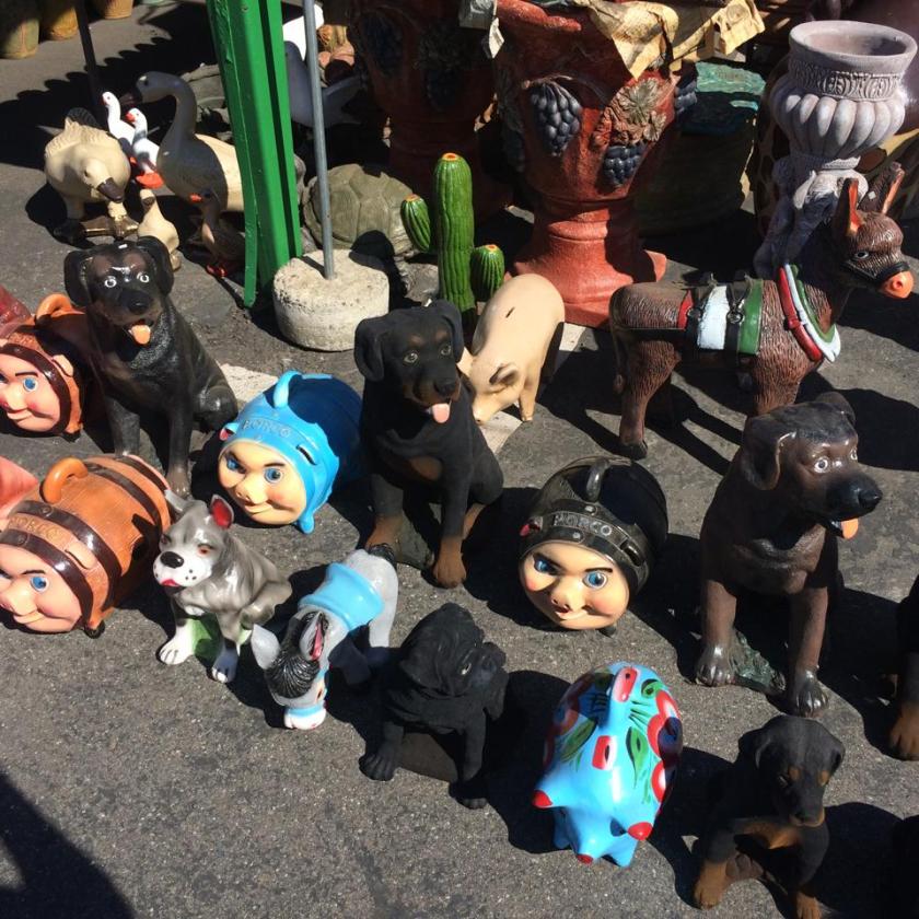 10447377_10203449890707067_6702667680918108132_n