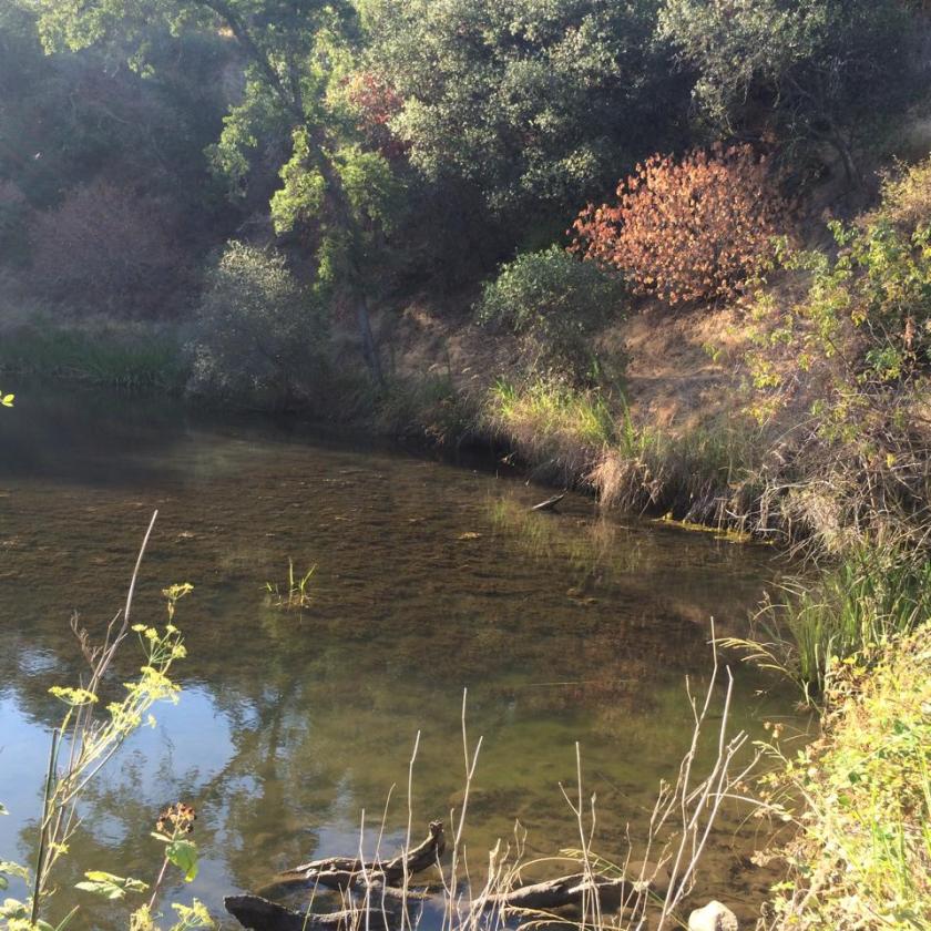 10603564_10203457648180999_5698041653361733114_n