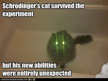 Screen Shot 2014-09-15 at 7.59.29 AM