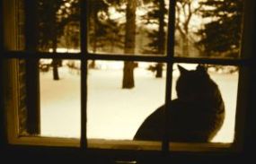 My beautiful picture