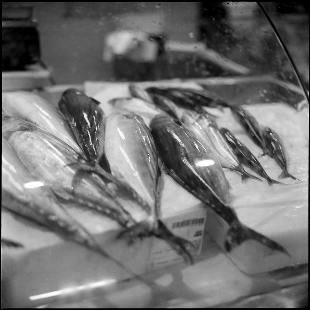 Fish, Mercato Centrale,&nbsp;Florence