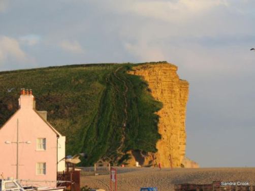 Copyright Sandra Crook