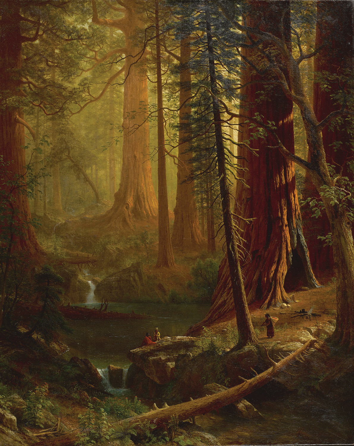 “Giant Redwood Trees of California” by Albert Bierstadt: Sublime Art, The American Frontier, and The History of Redwood&nbsp;Trees