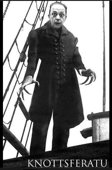 45193705_10155588136117038_7026298902613590016_n